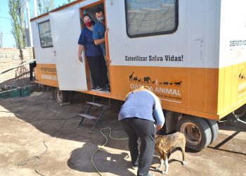 El quirófano móvil veterinario visita esta semana la Villa 25 de Mayo