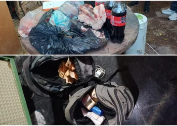 Sufrió un robo millonario y descubrió que fueron sus vecinos gracias a las cámaras de seguridad