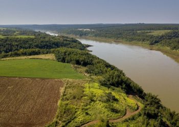 Alarmante estudio: Nuestro país perdió 7,6 millones de hectáreas de vegetación en los últimos 25 años