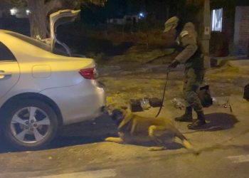 El Sosneado: Gendarmería secuestró casi medio kilo de marihuana