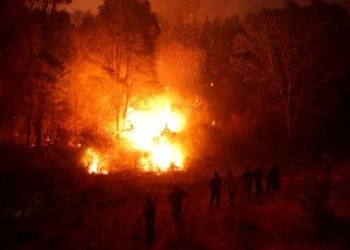 La Corte chilena imputó a un ex bombero y a un ex trabajador forestal por el megaincendio en Valparaíso