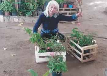 Llegar a fin de mes, el drama de jubilados que siguen trabajando para poder comer