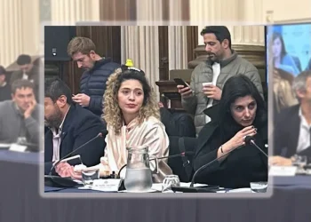Insólito: la diputada Lourdes Arrieta fue con un patito en la cabeza a una sesión