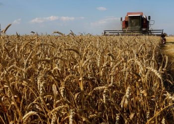 Preocupa al Gobierno la demora en vender la cosecha gruesa por parte de los productores