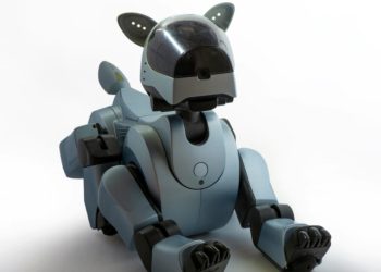 Robodogs: el Ejército chino probó los nuevos robots perro que pueden disparar con una ametralladora