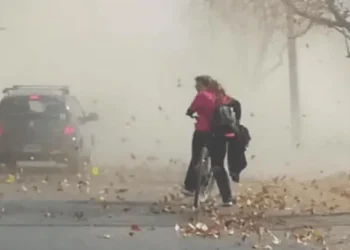 Alerta meteorológica naranja por fuertes vientos y viento Zonda para varias provincias, ¿en qué zonas?