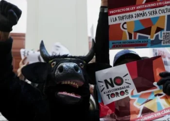 Prohíben las corridas de toros en Colombia