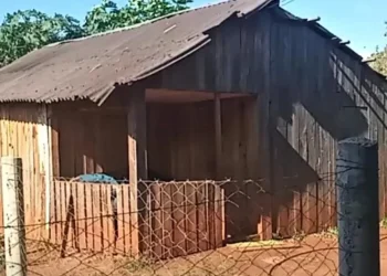 “Mamá me arrastró y me duele todo”: el último mensaje de una nena de 13 años que encontraron muerta en la provincia de Misiones