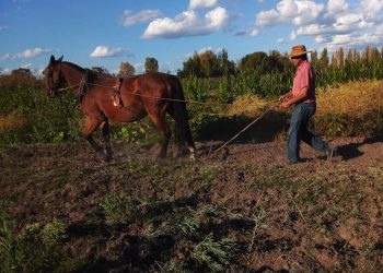 En Los Claveles crearon el primer “semillero popular” de San Rafael