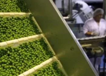 Eliminan las declaraciones juradas de exportación para algunos productos de economías regionales