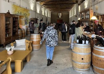 San Rafael, epicentro del enoturismo en Argentina: 4 de las 10 bodegas más visitadas están en la región