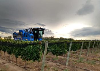 San Rafael representa el 9,9% del Producto Bruto Geográfico de Mendoza y creció 2 puntos en los últimos 20 años