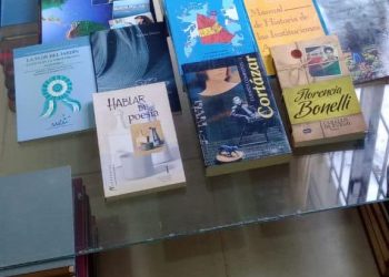 En la Biblioteca de Goudge convirtieron libros en desuso en obras de arte