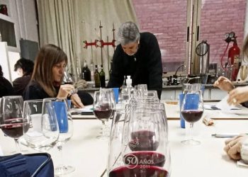 Degustación de “vinos experimentales” y proyecto de caracterización de “micro terroirs”