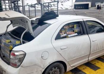 Un mendocino quiso cruzar a Chile con más de $50 millones en cigarrillos