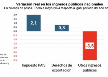 Desde IDESA explicaron qué partidas se atacaron para lograr el superávit y cuáles impuestos frenan las inversiones