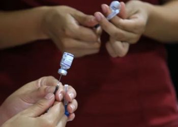 Finlandia empieza a vacunar a los ciudadanos contra la gripe aviar