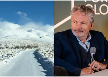 La nueva oferta laboral de un empresario millonario que construirá un hotel en Mendoza