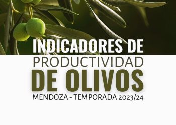 El IDC fue dado de baja, mientras que los empleados del IDR aún no saben qué ocurrirá con ellos