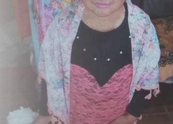 Buscan a una nena que desapareció en la Isla del Diamante