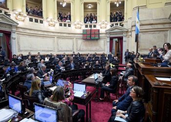 Ley Bases: el oficialismo y un delicado panorama en la votación en particular