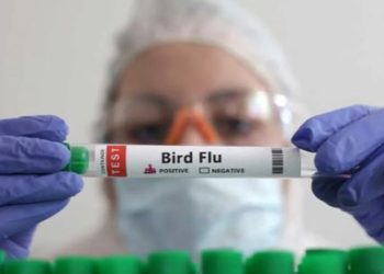 México aclaró que la persona con gripe aviar AH5N2 murió por padecimientos crónicos y no del virus