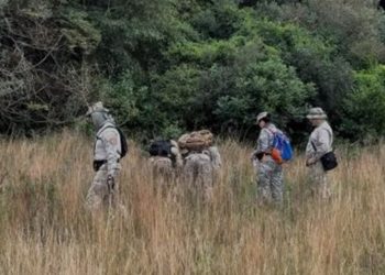 Por qué desaparecen los niños: un flagelo global que sacude a la Argentina y la región