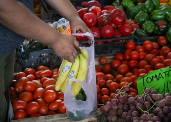 Bajaron los precios de las frutas y verduras y piden consumir productos de estación