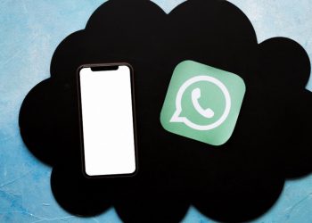 WhatsApp introdujo nuevos cambios: ahora se podrá distinguir a tus contactos favoritos