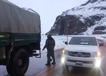 Otro camionero murió mientras esperaba la habilitación del paso Cristo Redentor