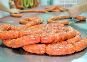 Consejos claves para evitar riesgos sanitarios durante los carneos