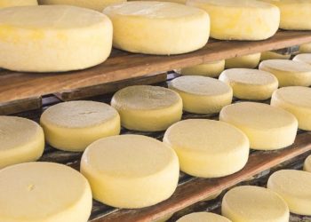Rematan 680.000 kilos de quesos SanCor: por qué y de cuánto será el precio base