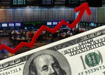 Cuántas veces puedo comprar dólar MEP por mes 2024