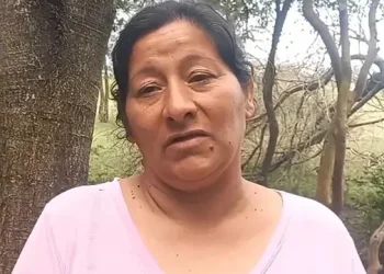 Se filtraron los contundentes chats entre Laudelina y Victoria Caillava antes de la desaparición de Loan: “Mi marido”