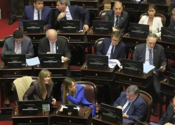 El Senado debate la Ley Bases : en instantes la votación (transmisión en vivo)