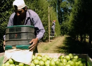 Las exportaciones de economías regionales acumulan un superávit comercial de US$6.464 millones