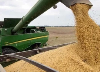 La recaudación por retenciones del agro creció 160% interanual en el primer semestre del año