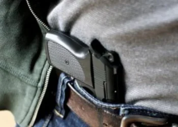 Cómo es el proyecto para regularizar la tenencia legítima de armas