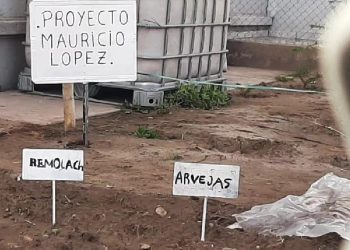 Internos de la Unidad Penal de El Cerrito trabajan huertas agroecológicas