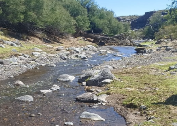 En Alvear impulsan un acueducto para proveerse desde Punta del Agua