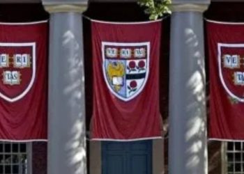 Ideal para amantes de la ciencia y la programación: cómo acceder a los cursos gratuitos de Harvard