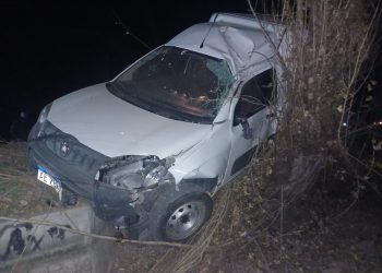 Una conductora chocó contra un árbol: daños de consideración