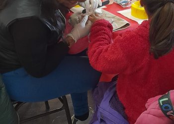 La Cruz Roja impulsa la inserción laboral con el proyecto “Medios de Vida”