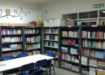 La crisis de las bibliotecas populares: una lucha por la supervivencia del saber y la cultura