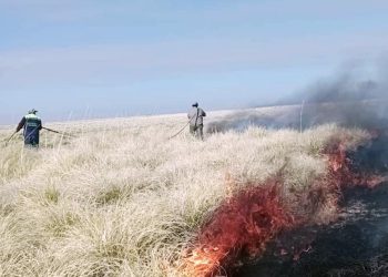 Combaten un incendio forestal en El Sosneado que sigue sin control