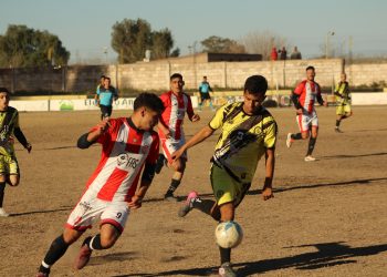 Los Pumas cayeron ante Francia en el Malvinas Argentinas