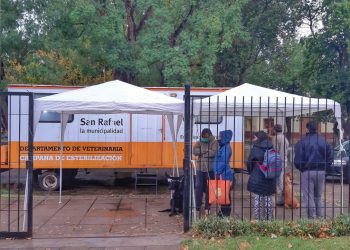 El quirófano móvil veterinario del Municipio continúa recorriendo los distritos sanrafaelinos