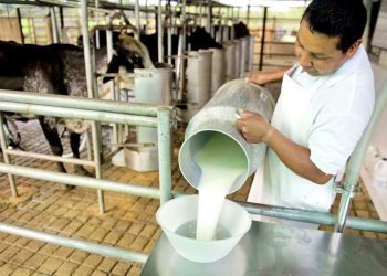 Tambero mendocino explicó la situación que atraviesa el sector y los márgenes del productor primario