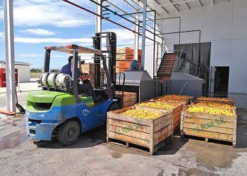 Pulpera Municipal de San Rafael: llegada con productos a California y constante crecimiento e innovación