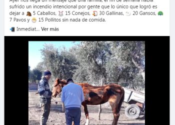 “Al Recreo” llevará a cabo una rifa solidaria para ayudar a gatos y perros